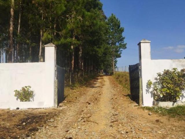 Sítio e chácara venda em Região Imediata de Itapeva, Itapeva