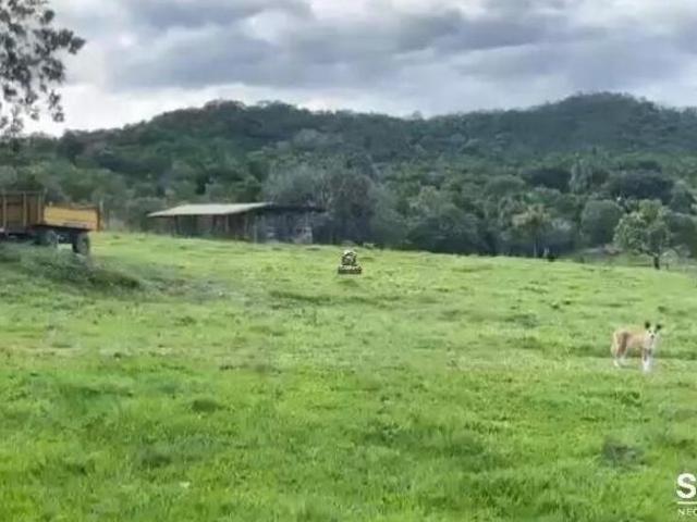 Sítio e chácara venda em Faina, Região Geográfica Intermediária de Goiânia