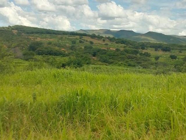 Sítio e chácara venda em Região Geográfica Imediata de Montes Claros, Francisco Sá