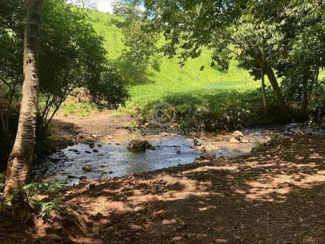 Sítio e chácara venda em Minaçu, Região Geográfica Intermediária de Porangatu-Uruaçu