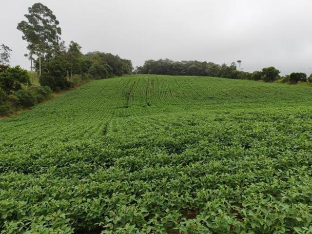 Sítio e chácara venda em Região Imediata de Sorocaba, Região Metropolitana de Sorocaba