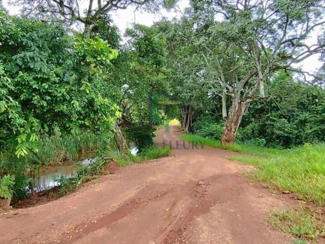 Sítio e chácara venda em Anápolis, Setor Central