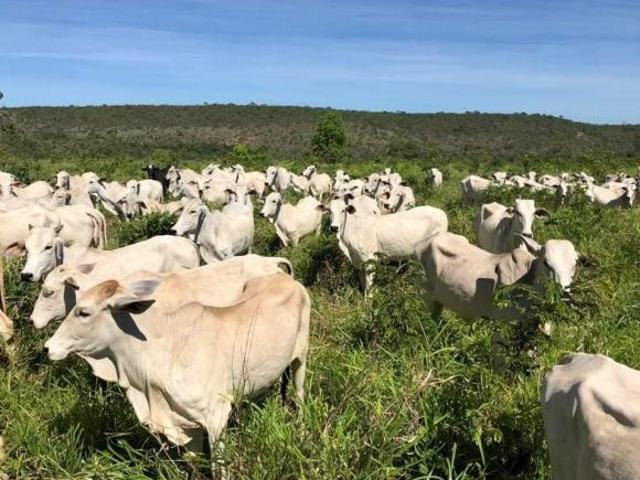 Sítio e chácara venda em Região Geográfica Imediata de Pirapora, Lassance