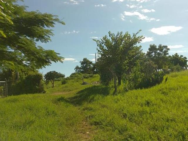 Sítio e chácara venda em Região Geográfica Imediata de Montes Claros, Francisco Sá