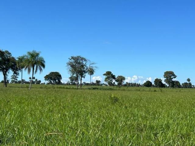 Sítio e chácara venda em Região Geográfica Imediata de Posse-Campos Belos, Iaciara