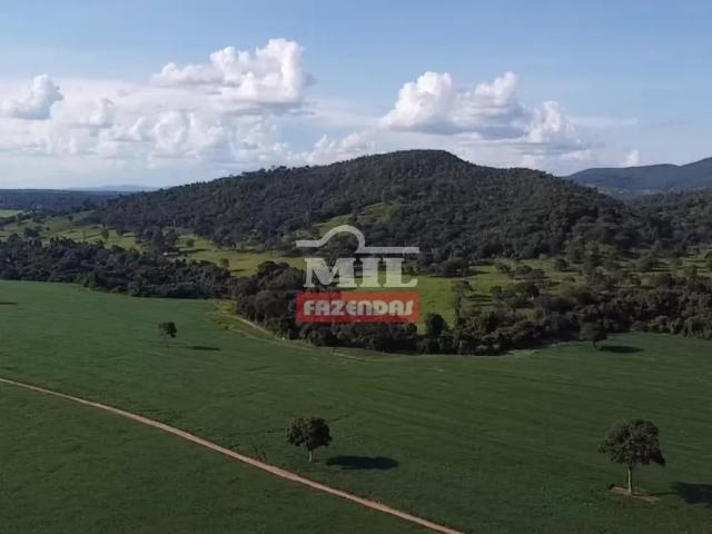 Fazenda venda em Setor Central, Anápolis