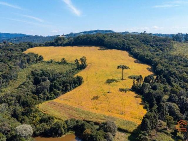 Terreno venda em Região Geográfica Imediata de Curitiba, Região Metropolitana de Curitiba