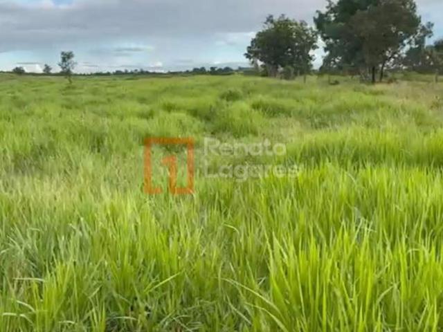 Sítio e chácara venda em Região Geográfica Imediata de São Luís de Montes Belos, Ivolândia
