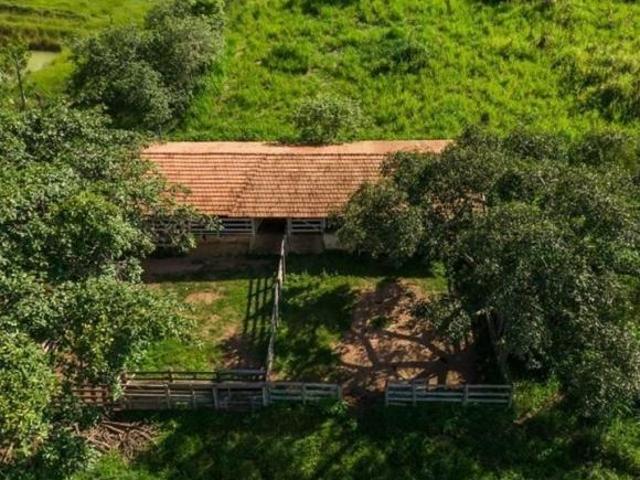 Sítio e chácara venda em Região Geográfica Imediata de Anápolis, Região Integrada de Desenvolvimento do Distrito Federal e Entorno