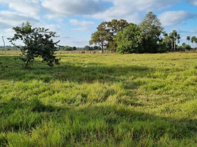 Sítio e chácara venda em Região Geográfica Imediata de Cuiabá, Região Metropolitana do Vale do Rio Cuiabá