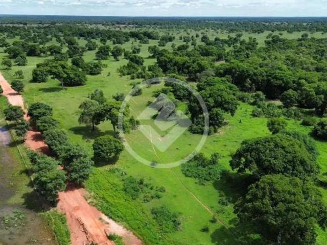 Sítio e chácara venda em Região Geográfica Imediata de Cuiabá, Região Metropolitana do Vale do Rio Cuiabá