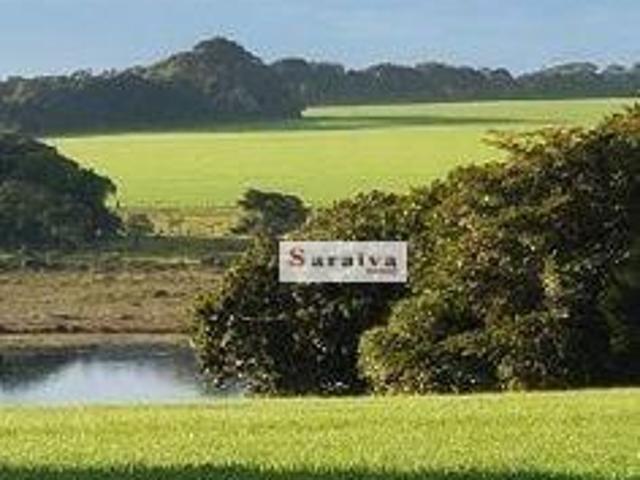 Sítio e chácara venda em Região Imediata de Avaré, Paranapanema