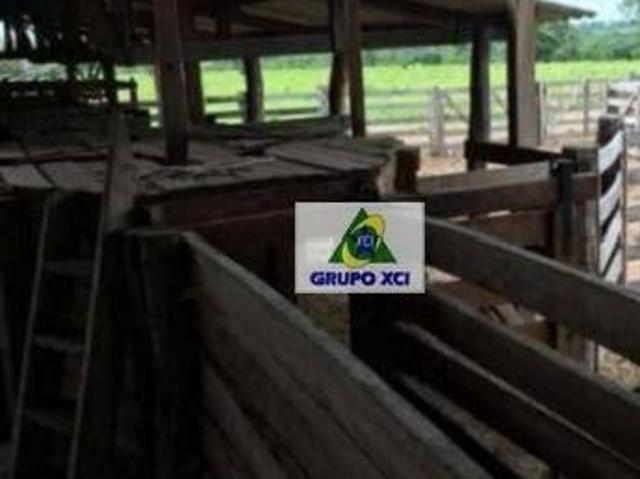 Sítio e chácara venda em Região Geográfica Imediata de Barra do Garças, Pontal do Araguaia