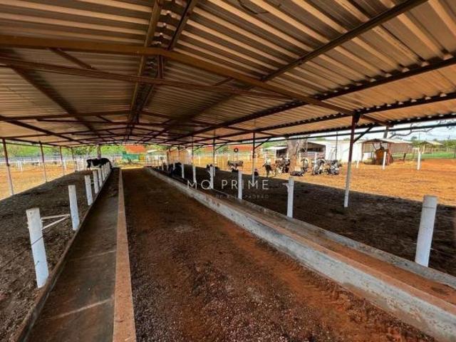 Sítio e chácara venda em Paraopeba, Região Geográfica Intermediária de Belo Horizonte