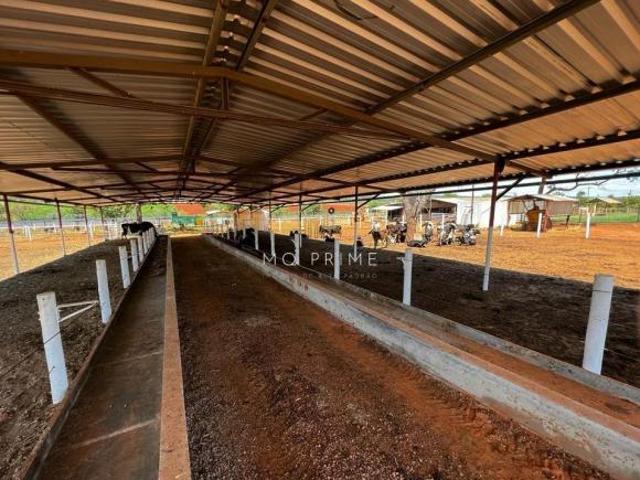 Sítio e chácara venda em Região Geográfica Imediata de Sete Lagoas, Paraopeba