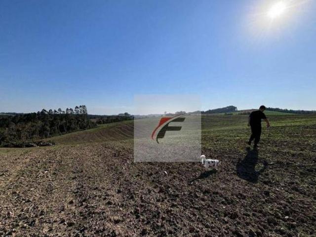 Sítio e chácara venda em São João do Triunfo, Região Geográfica Intermediária de Ponta Grossa