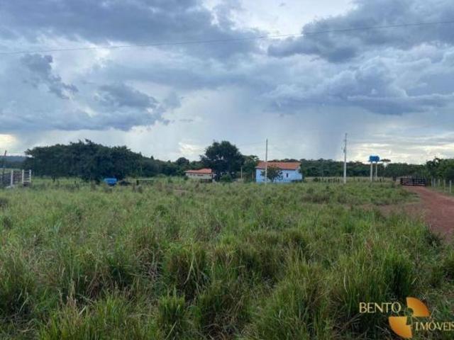 Sítio e chácara venda em Região Geográfica Imediata de Rondonópolis, Rondonópolis