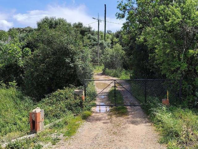 Quinta venda em Mexilhoeira da Carregação, Parchal