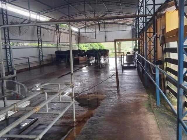 Sítio e chácara venda em Região Geográfica Imediata de Pouso Alegre, Santa Rita do Sapucaí