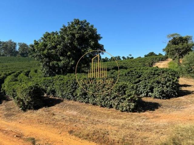 Sítio e chácara venda em Região Imediata de São José do Rio Pardo-Mococa, Caconde