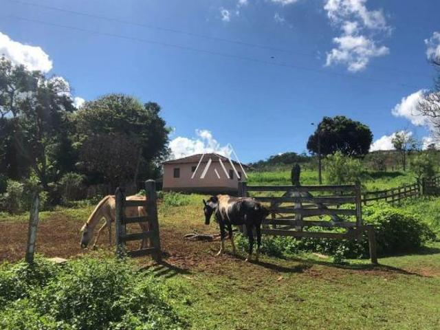 Sítio e chácara venda em Oliveira, Região Geográfica Intermediária de Divinópolis