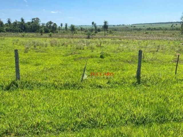 Sítio e chácara venda em Região Geográfica Imediata de Dourados, Fátima do Sul