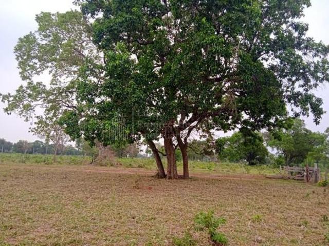 Sítio e chácara venda em Região Geográfica Imediata de Jardim, Nioaque