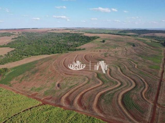 Sítio e chácara venda em Região Geográfica Imediata de Londrina, Alvorada do Sul