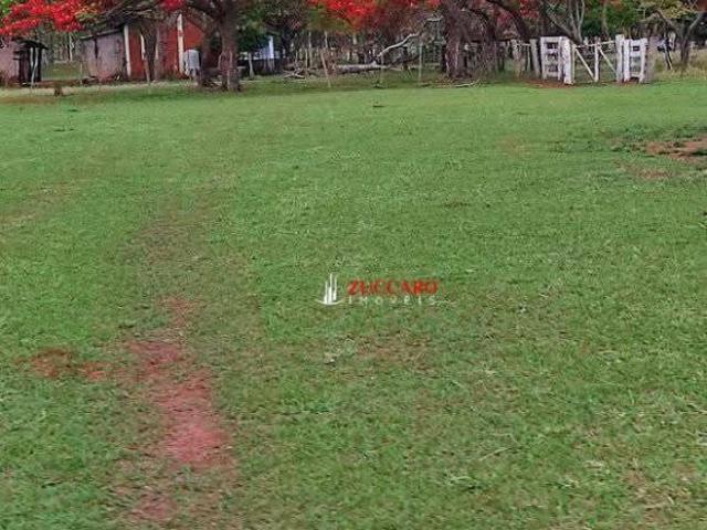 Sítio e chácara venda em Anaurilândia, Mato Grosso do Sul