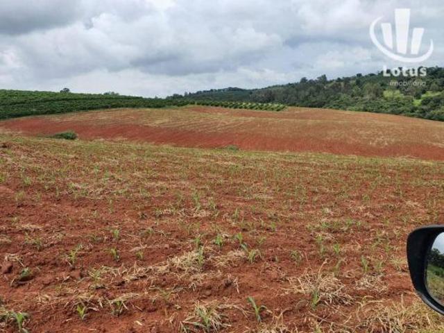 Sítio e chácara venda em Região Geográfica Imediata de Varginha, São Gonçalo do Sapucaí