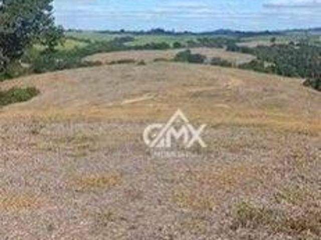 Sítio e chácara venda em Ribeirão do Pinhal, Região Geográfica Intermediária de Londrina