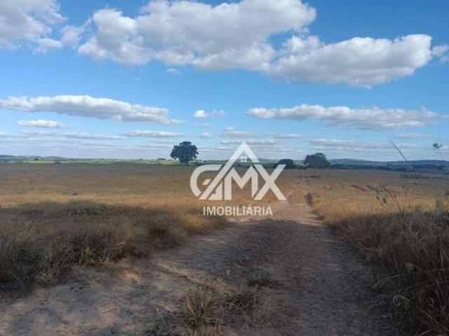 Sítio e chácara venda em Região Geográfica Imediata de Santo Antônio da Platina, Ribeirão do Pinhal