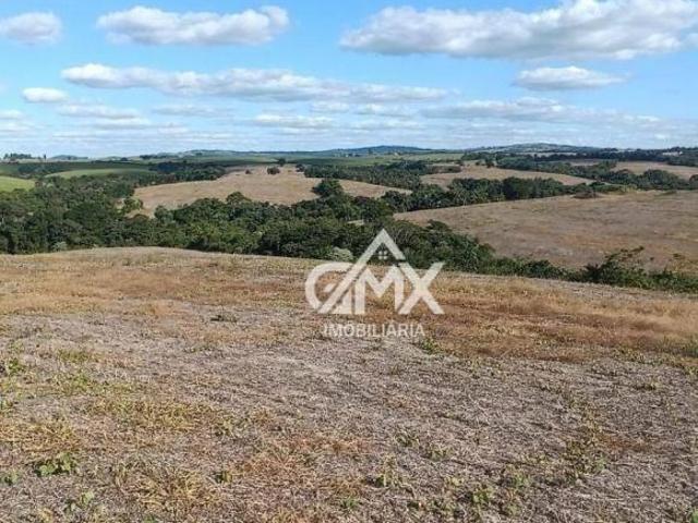 Sítio e chácara venda em Região Geográfica Imediata de Santo Antônio da Platina, Ribeirão do Pinhal