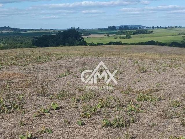 Sítio e chácara venda em Ribeirão do Pinhal, Região Geográfica Intermediária de Londrina