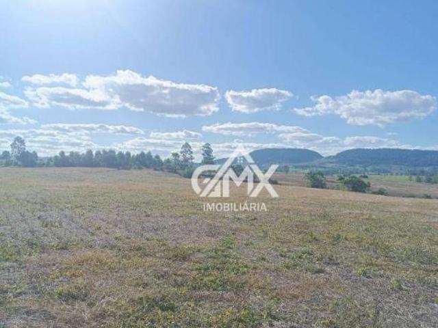 Sítio e chácara venda em Região Geográfica Imediata de Santo Antônio da Platina, Ribeirão do Pinhal