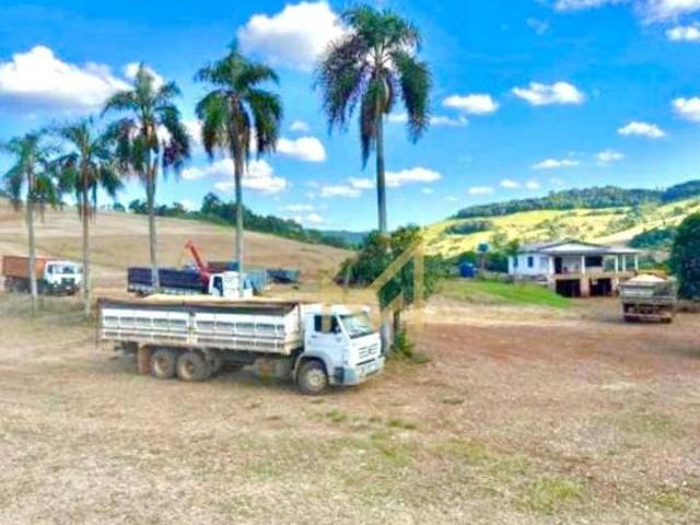 Sítio e chácara venda em Região Geográfica Imediata de Francisco Beltrão, Barracão