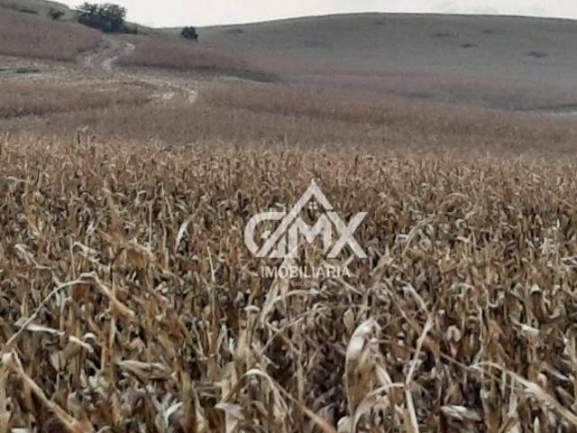 Sítio e chácara venda em Região Geográfica Imediata de Cornélio Procópio-Bandeirantes, Nova Fátima