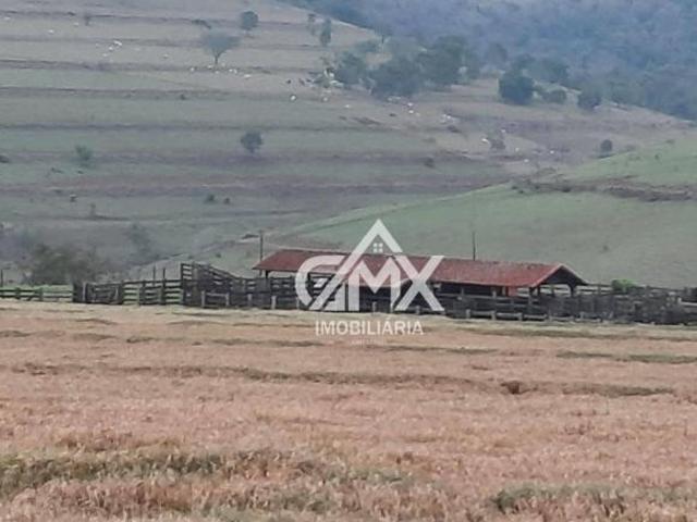 Sítio e chácara venda em Região Geográfica Imediata de Cornélio Procópio-Bandeirantes, Nova Fátima