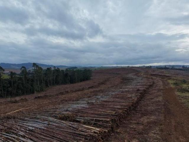 Sítio e chácara venda em Ipuiúna, Região Geográfica Intermediária de Pouso Alegre