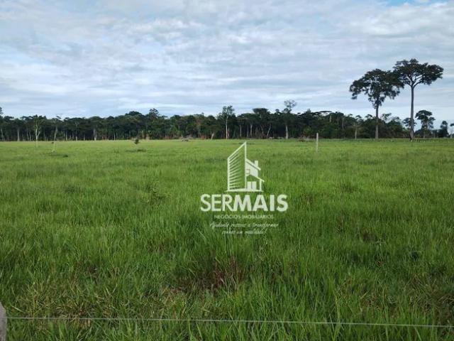 Fazenda venda em Região Geográfica Imediata de Ji-Paraná, São Francisco do Guaporé