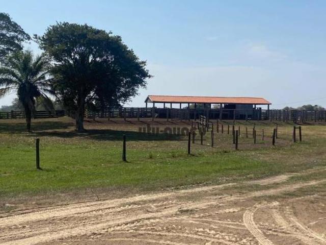 Sítio e chácara venda em Região Geográfica Imediata de Corumbá, Corumba