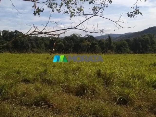 Fazenda venda em Região Geográfica Imediata de Divinópolis, Itapecerica