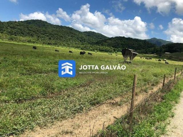 Sítio e chácara venda em Região Imediata de Registro, Iguape