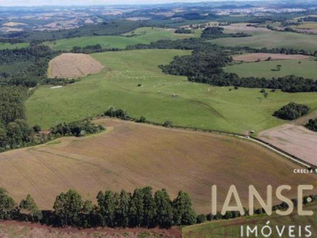 Sítio e chácara venda em Campinas Belas, Reserva