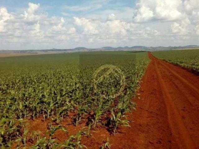 Sítio e chácara venda em Região Geográfica Imediata de Campo Mourão, Goioerê