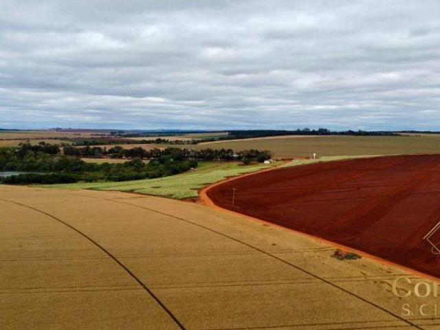 Sítio e chácara venda em Região Imediata de Itapeva, Itaberá