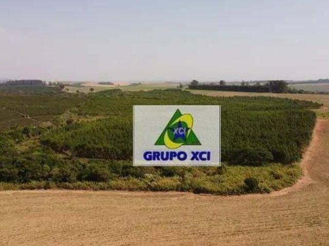 Sítio e chácara venda em Região Imediata de Jaú, Brotas