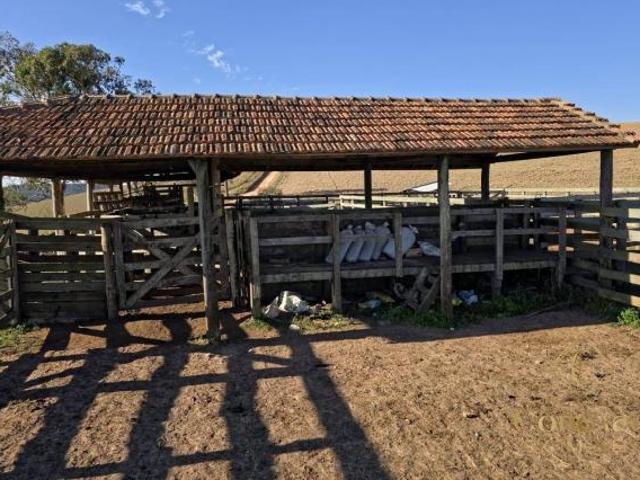 Sítio e chácara venda em Região Imediata de Itapeva, Capão Bonito