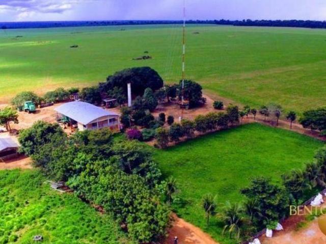 Sítio e chácara venda em Região Geográfica Imediata de Sinop, Itaúba