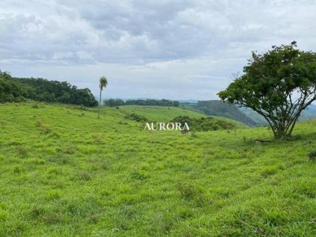 Sítio e chácara venda em Região Geográfica Imediata de Ivaiporã, Rio Branco do Ivaí